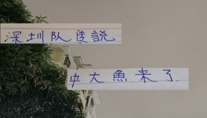 中超第29轮 申花打深圳更加难了！因为他们引进了一个英超射手