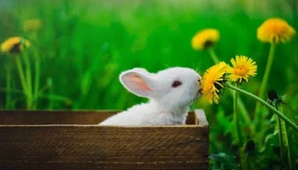 曝3大心碎隐情!纽卡斯尔1.5亿天王罢赛背后,利物浦真的在暗笑吗